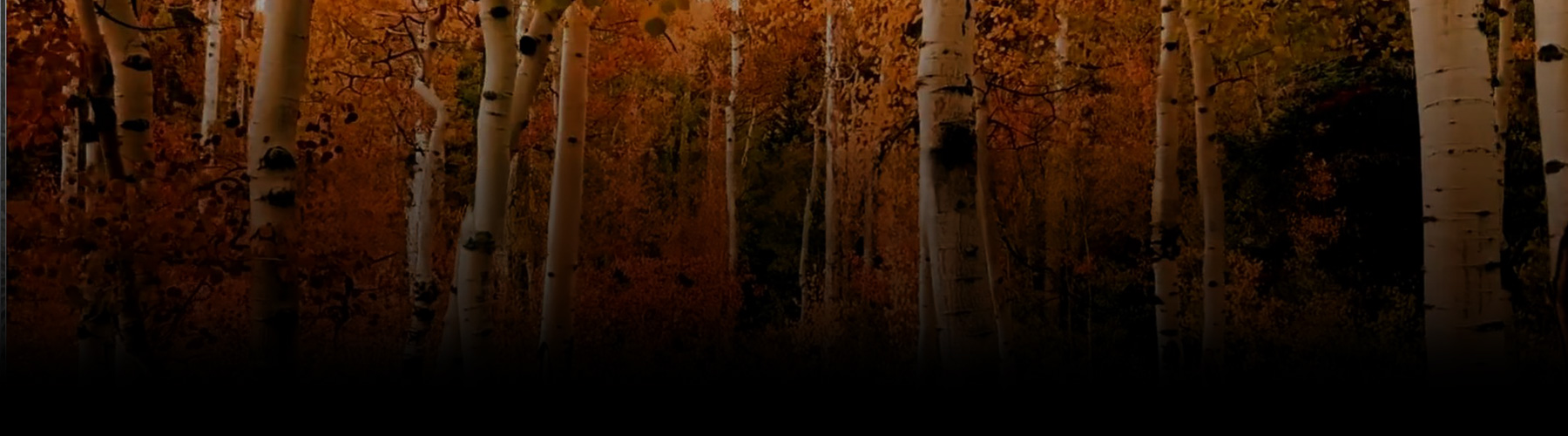 Exploring Imagination